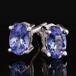 Tanzanite Revolution Earrings