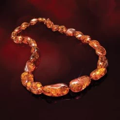 Honey Amber Beaded Necklace -Accessories shop, one for all. 46778 2 800