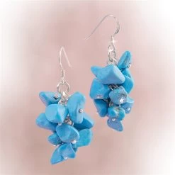 Turquoise Princess Earrings
