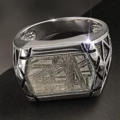 Men's Meteorite In Steel Ring
